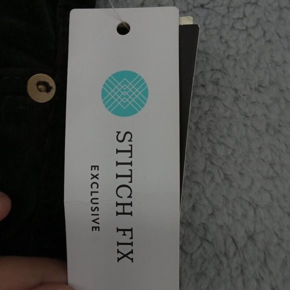 Edyson‎ Pants Womens 30 Brown Walnut Velvet Skinny Fit Trousers Stitch Fix - Picture 4 of 9